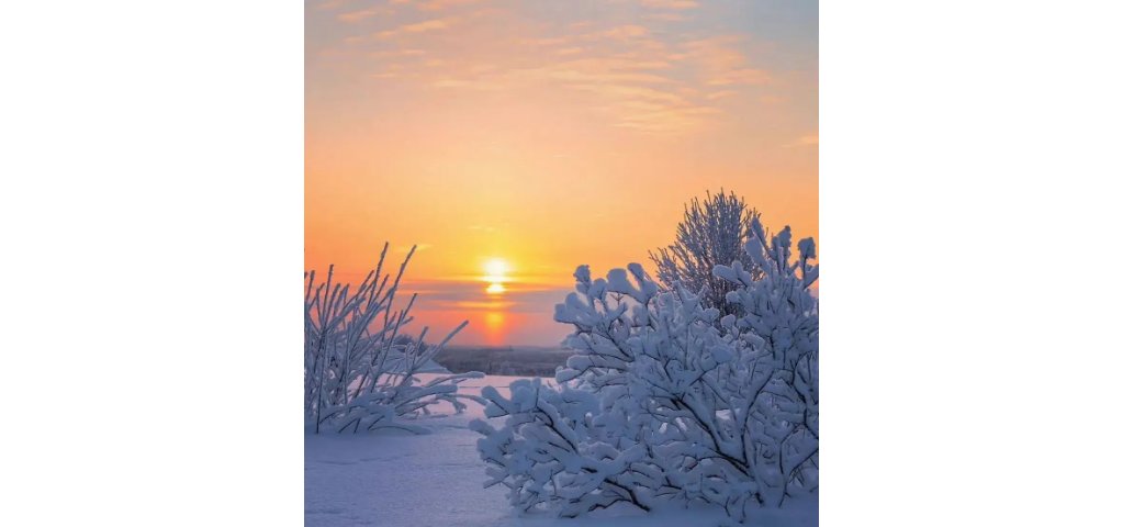 他朝若是同淋雪，此生也算共白头。出处是哪里？