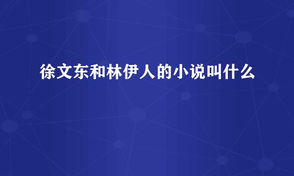 徐文东和林伊人的小说叫什么