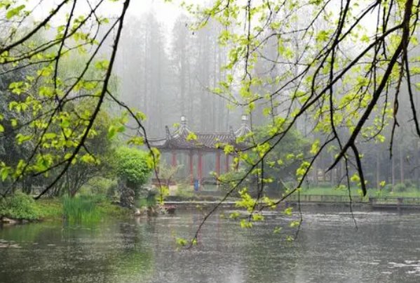 细雨绵绵什么意思