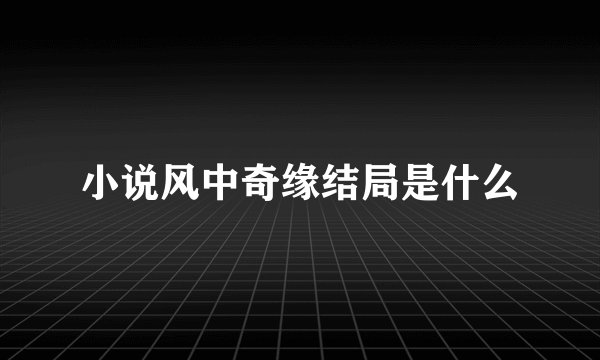 小说风中奇缘结局是什么