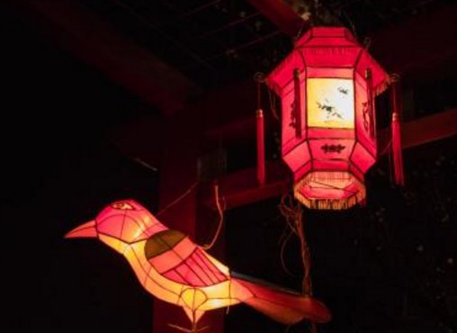 火树银花怎么造句？