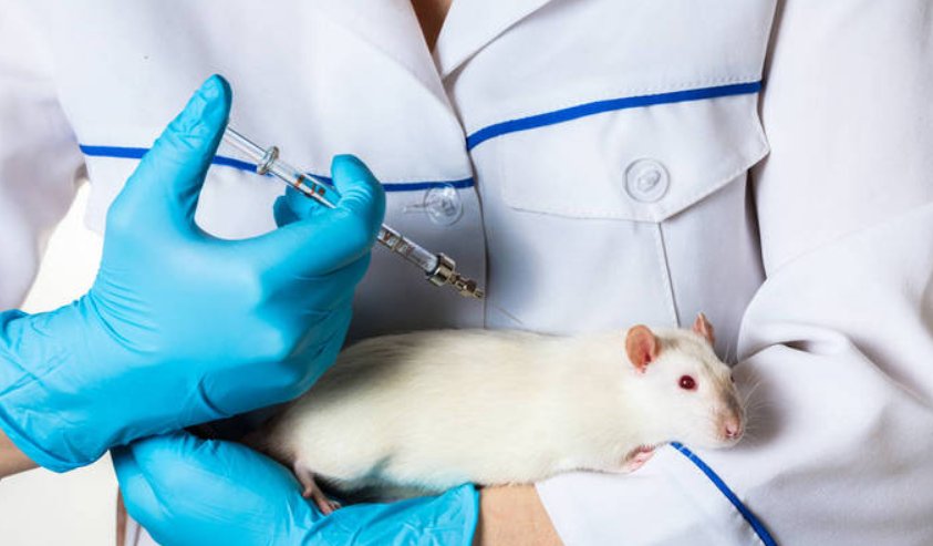 毒理学noael和noel的区别