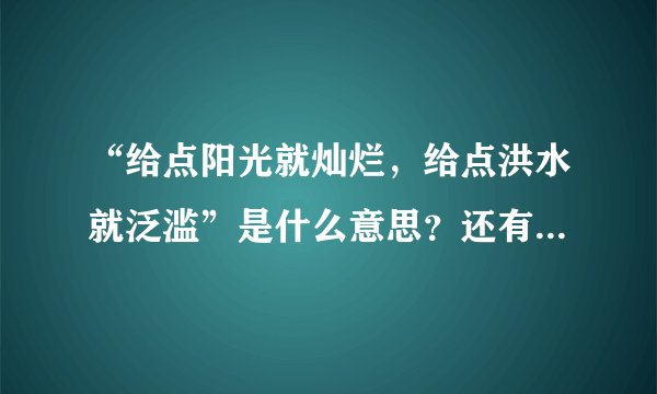 “给点阳光就灿烂，给点洪水就泛滥”是什么意思？还有什么和它相近的语句吗？