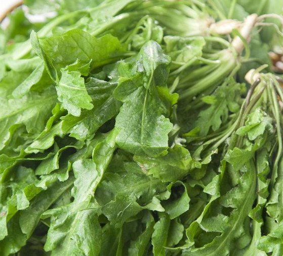 茎类蔬菜有哪些