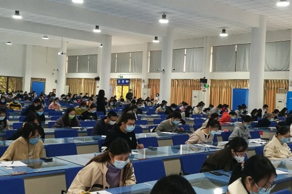 基本能力测试考什么