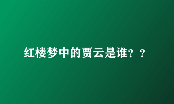 红楼梦中的贾云是谁？？