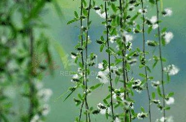 指望和希望有什么区别？并分别造句。