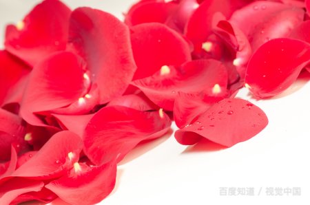 花瓣的瓣组词和部首