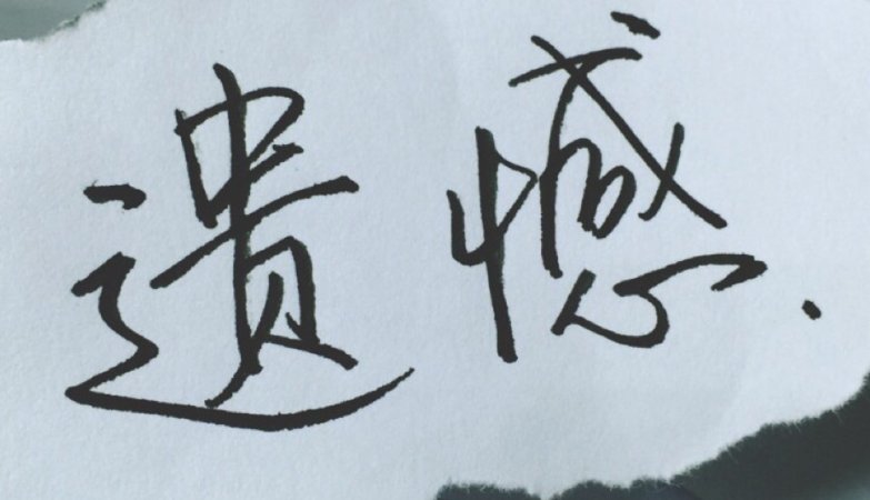 遗憾是什么意思解释