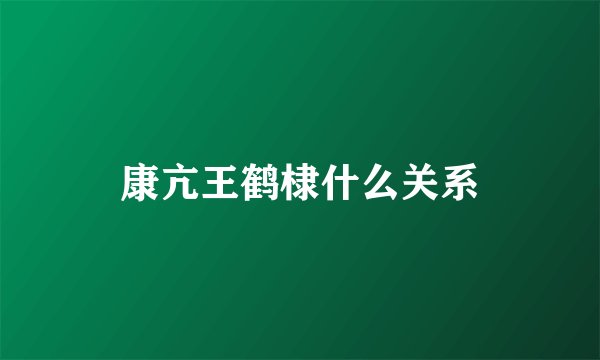 康亢王鹤棣什么关系