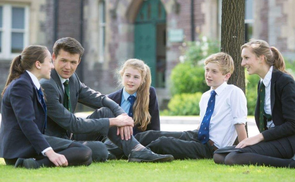 alleviation是什么意思