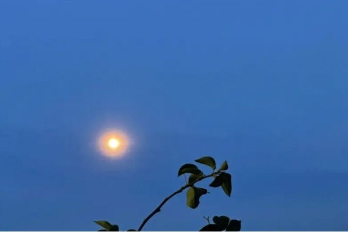 月黑风高指什么意思