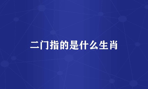 二门指的是什么生肖