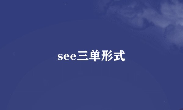 see三单形式