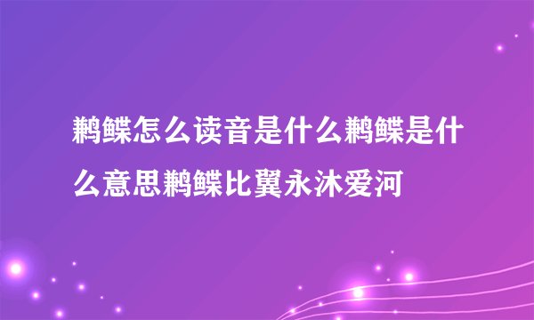 鹣鲽怎么读音是什么鹣鲽是什么意思鹣鲽比翼永沐爱河