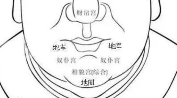 地阁是哪个部位？