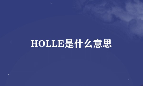 HOLLE是什么意思