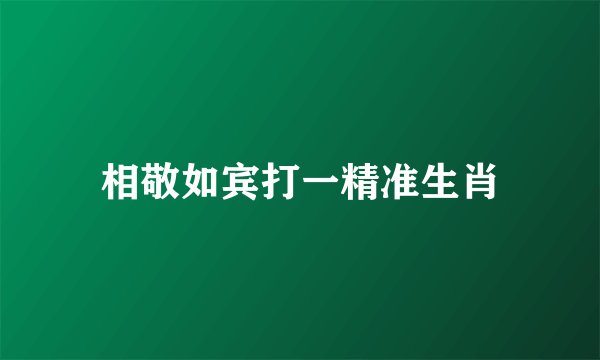 相敬如宾打一精准生肖