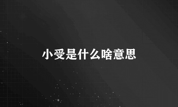 小受是什么啥意思