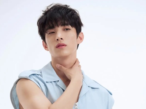 seventeen成员简介