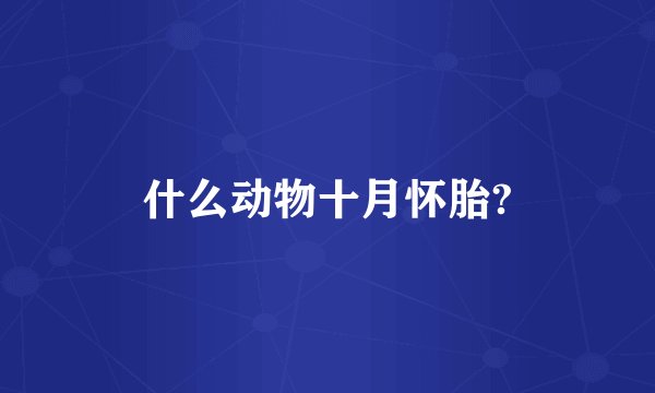 什么动物十月怀胎?