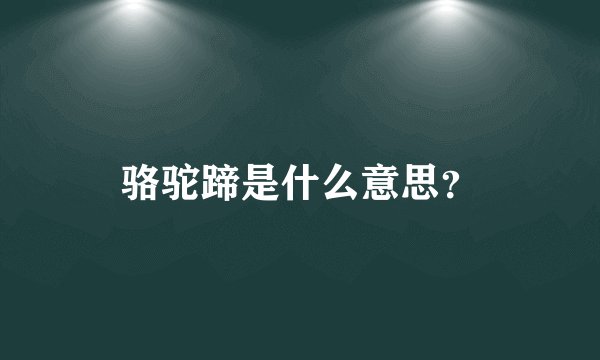 骆驼蹄是什么意思？