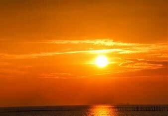 花开红树乱莺啼全诗的译文