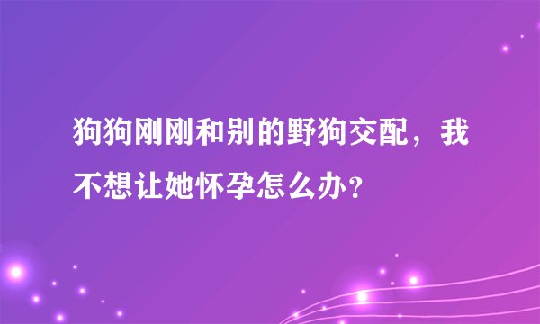 狗狗刚刚和别的野狗交配，我不想让她怀孕怎么办？