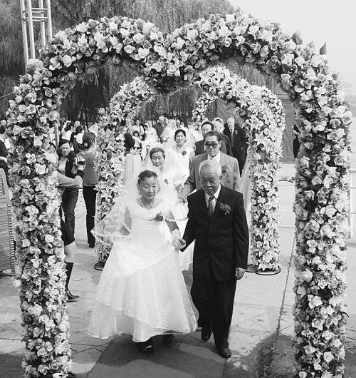 《金婚》电视剧是哪些演员演的？