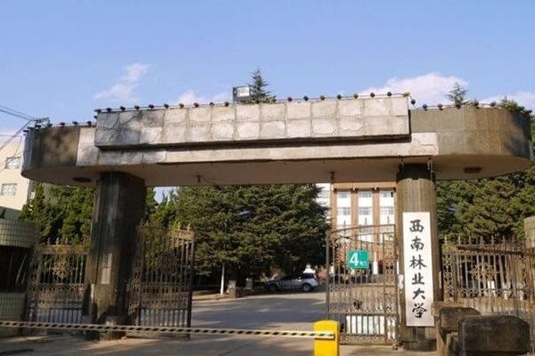 西南林业大学缺点