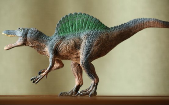 棘背龙的特点是什么？