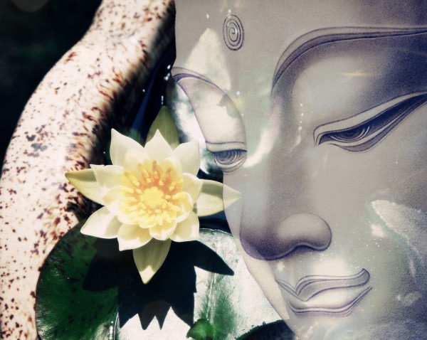 一花一世界，一树一菩提 是什么意思