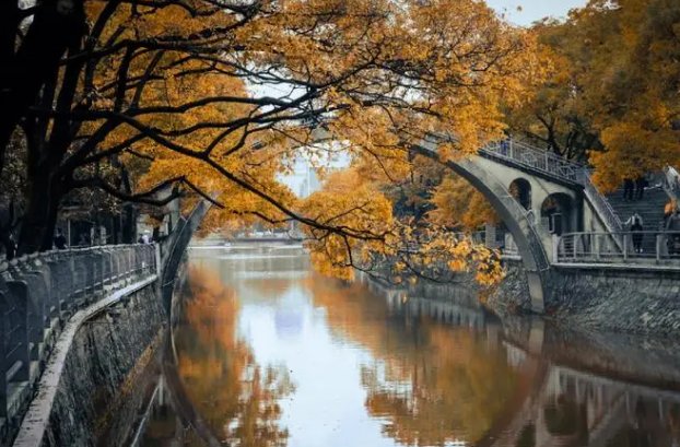 秋意是什么意思