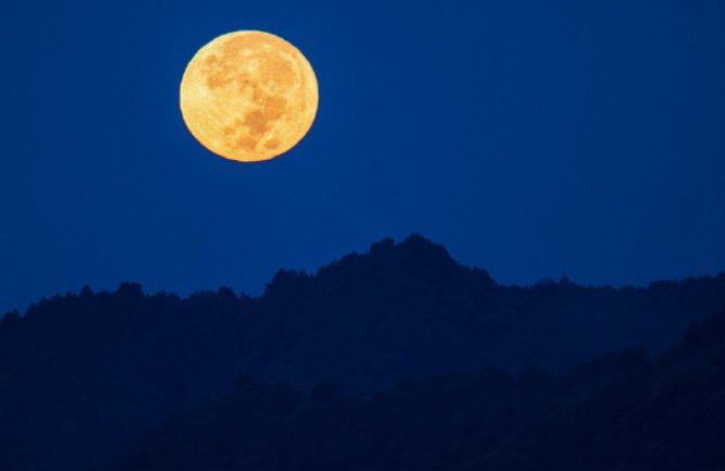 月亮啊月亮是什么梗？