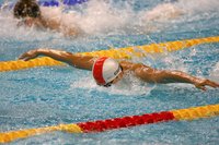 海豚腿和蝶泳腿的区别