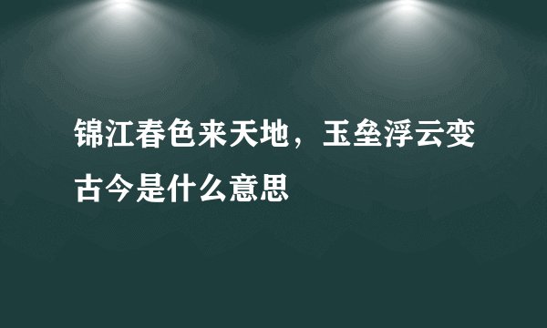 锦江春色来天地，玉垒浮云变古今是什么意思