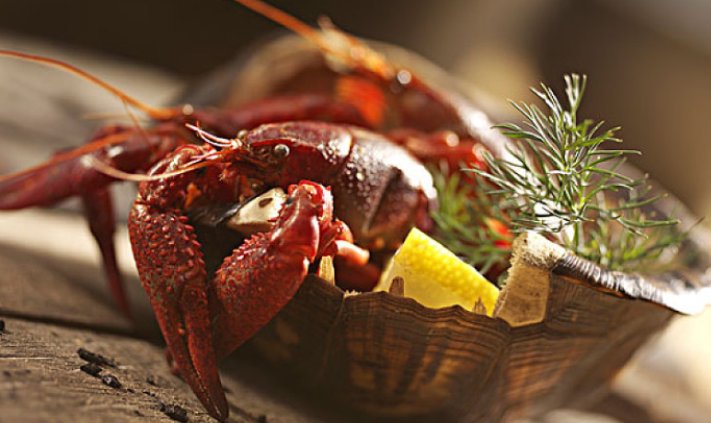 小龙虾季节几月到几月？