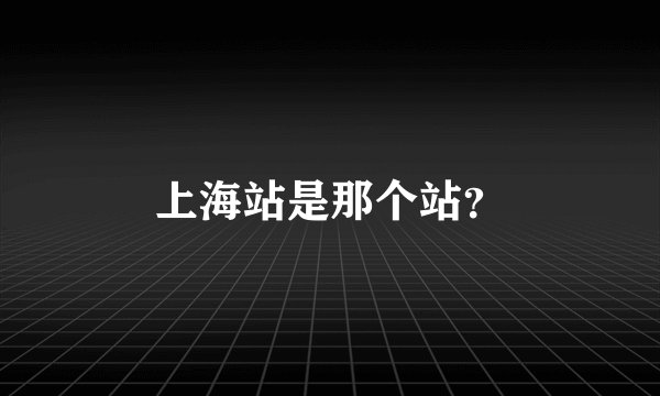 上海站是那个站？
