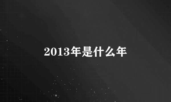 2013年是什么年