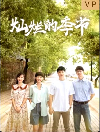 灿烂的季节的演员表