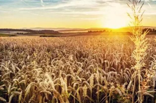 “少年易老学难成，一寸光阴不可轻。未觉池塘春草梦，阶前梧叶已秋”此句诗名是《偶成》还是《偶作》？