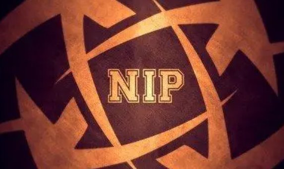 nip什么意思