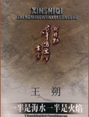 “一半是火焰，一半是海水”解释下这句话