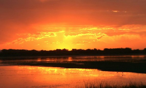 日落西山的诗句