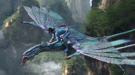 阿凡达中的纳威人是谁？