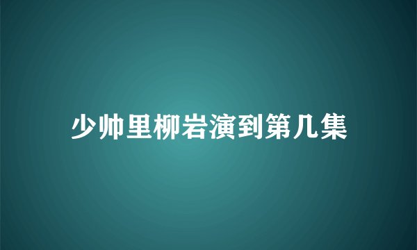少帅里柳岩演到第几集