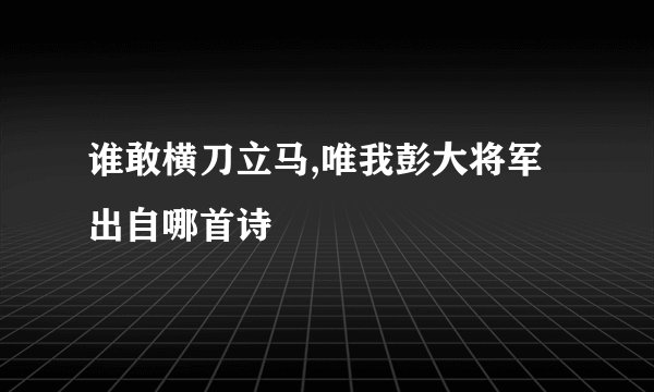 谁敢横刀立马,唯我彭大将军出自哪首诗