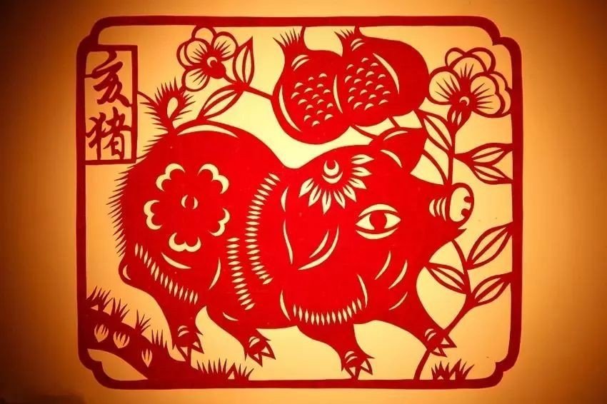 鸡飞狗跳是什么生肖