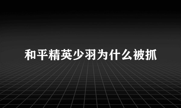 和平精英少羽为什么被抓