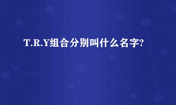T.R.Y组合分别叫什么名字?